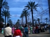 Feria_Jerez2007 079